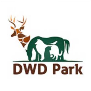 dwdpark-logo-france-qatar
